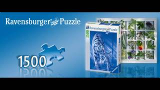 Ravensburger Puzzles 1500  18000 pieces [upl. by Arec89]