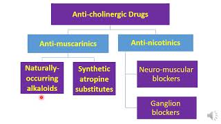 parasympatholytics Medicine [upl. by Ygiaf]