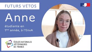 Futurs vétos  Anne raconte le concours postbac et la 1ère année vétérinaire [upl. by Dor741]