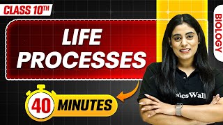 Life Processes in 40 Minutes  Mind Map Series for Class 10th [upl. by Cherianne249]