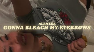 gonna bleach my eyebrows lyrics alemeda [upl. by Rexford708]