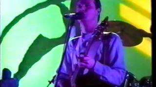 XTC  Rockpalast  February 10 1982  Part 3 of 6 [upl. by Ahsead432]