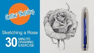 How to Sketch a Rose with Pencil  Gettin Sketchy Live [upl. by Evol638]