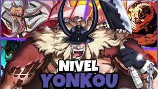 Personajes que ALCANZARON el NIVEL YONKOU  Actualización 2024  One Piece 2024 [upl. by Ayle11]