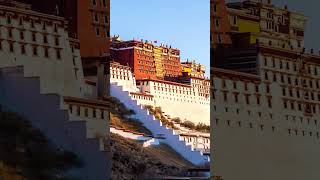 The Great Potala Palace in Tibet travel tibetanmonastery potalapalace lhasa tibet Palace [upl. by Sennahoj232]