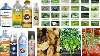 Bifenthrin 10ec insecticide Markar Rock talstar Hamada imperial histar topstar disect insecticide [upl. by Annayr]