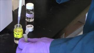 HPLC Tutorial 1preparing and loading sample 2015 version [upl. by Sulohcin]