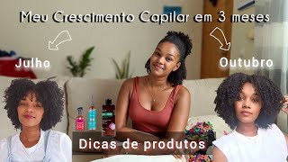 Meu Crescimento Capilar em 3 Meses  Dicas de Produtos [upl. by Ynes]