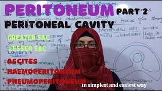 Peritoneal Cavity  part 2 Greater sac Lesser sac clinical problems ayeshamedicaleducation [upl. by Otis954]