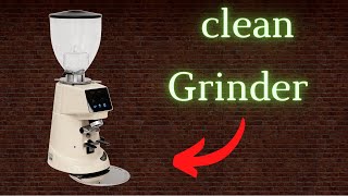 Clean Grinder Fiorenzato F64e [upl. by Deanne]