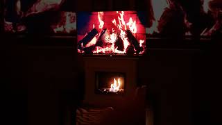 Our Ethanol Stove Gives Lovely Warmth [upl. by Herc768]