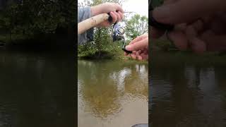 How to Fish with Creek Bugz jesus shorts fish trout bigfish troutfishing [upl. by Ellerd185]