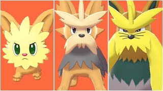 FULL LILLIPUP EVOLUTION TEAM Shiny Lillipup Shiny Herdier Shiny Stoutland Moveset [upl. by Riggs969]