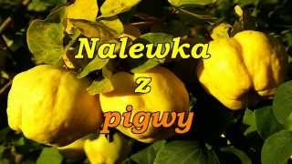 Nalewka z pigwy [upl. by Gove]