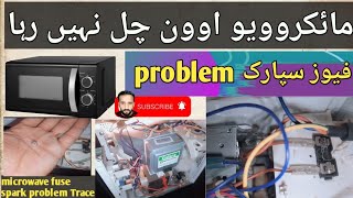 Microwave oven not working due to blown fuseamp Solution [upl. by Velleman]