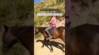 Maintaining Momentum when Riding Your Horse [upl. by Box]