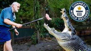 Meet Cassius Worlds Largest Crocodile  Guinness World Records [upl. by Akinam]