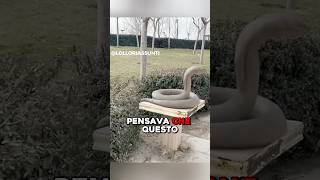 SEMBRA UNA STATUA DI UN SERPENTE MA…😱 virale [upl. by Berg]