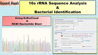 16S rRNA Sequence Analysis and Bacterial Identification [upl. by Berni]