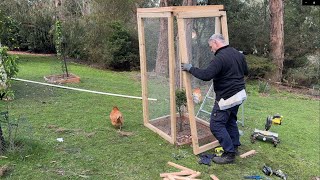 Building a Fruit Tree Enclosure to keep out the Possums and Rats [upl. by Hawkins]