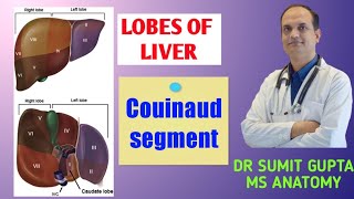 LOBES OF LIVER amp Couinaud segment [upl. by Crowley]