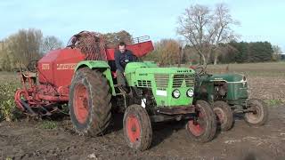 Landb Lebbe  Ieper  Deutz D 68 06  D25  Kemper [upl. by Hynes]