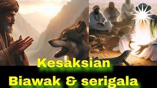 Kesaksian biawak dan serigala  kisah Mukjizat Rasulullah SAW [upl. by Anahcar]