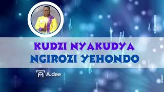 Ngirozi yehondo  Kudzi Nyakudya [upl. by Oer]