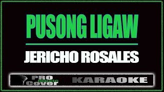 Pusong ligaw  Jericho Rosales KARAOKE [upl. by Pauly]