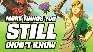 27 MORE Things You STILL Didnt Know In Zelda Tears Of The Kingdom [upl. by Thetes]