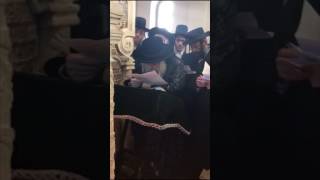 Satmar Rebbe  Kever Of Reb Meir Premishlaner In Peremyshliany Ukraine [upl. by Chalmer652]