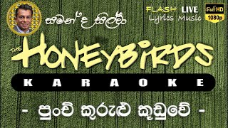 Punchi Kurulu Kuduwe Karaoke Without Voice පුංචි කුරුළු කූඩුවේ කැරෝකේ [upl. by Ellessig627]