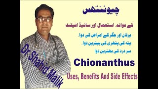 CHIONANTHUS VIRGINICA چیوننتھس Uses Side Effect Dosage And benefits [upl. by Cointon]