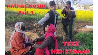 KathaL Noshii te Teez Heherbab part 4 [upl. by Freddi369]