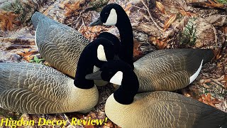 Higdon FullSize Goose Floaters Review Decoy Review Should You Buy [upl. by Anovahs481]