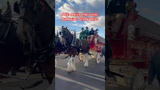 BUDWEISER CLYDESDALES TOUR 🍻🐴 Knoxville Tennessee stop christmas2024 [upl. by Ael]