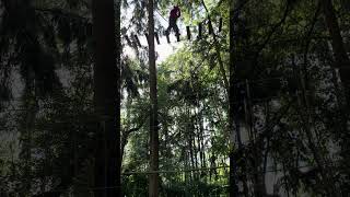 Treetop adventure obstacles Brave girl 🧒 [upl. by Rafael]