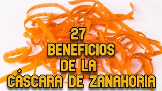 27 Beneficio de la Cáscara de Zanahoria [upl. by Rainer]