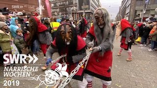 67 Fastnachtsumzug MannheimLudwigshafen  SWR Närrische Wochen 2019 [upl. by Oona]