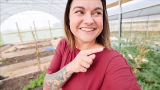 Harvest in the greenhouse homestead update  VLOG [upl. by Bloom]