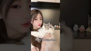 Princess YaQian and her cat 😍 922 shortsvideo chinesebeauty thinhhanh [upl. by Ydnar730]