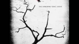 The Airborne Toxic Event  Wishing Well Lyrics [upl. by Nodle]