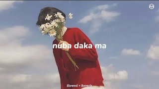 nuba daka ma  නුඹ දැක මා Slowed  Reverb [upl. by Julius]