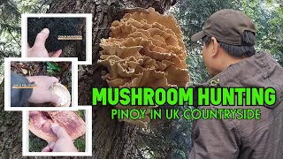 MUSHROOM HUNTING  PINOY IN UK COUNTRYSIDE  BEEFSTEAK MUSHROOM [upl. by Deni]