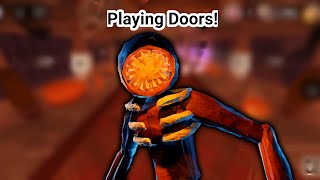 Playing Doors [upl. by Dragelin805]