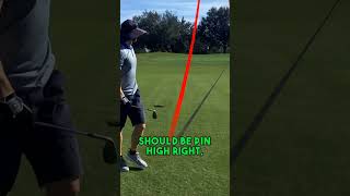 Mastering the Swing A Golfers Journey from Tee to Green shorts [upl. by Arrio]