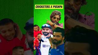 Pushpa x cricket pushpa2 pushparaj alluarjun viratkohli davidwarner shortsfeed [upl. by Bate]