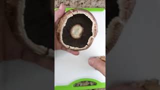 Portobello Mushroom Prep  First step  Removing the Stem [upl. by Malinde]