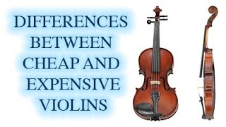 Difference Between Cheap and Expensive Violins  KV [upl. by Lyle877]