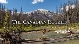 Solo Hiking in the Canadian Rockies Wilderness for 6 Days [upl. by Llennor]